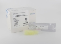 POCT Hemoglobin HbA1c Assay Kit Immunofluorescence Chromatography Method
